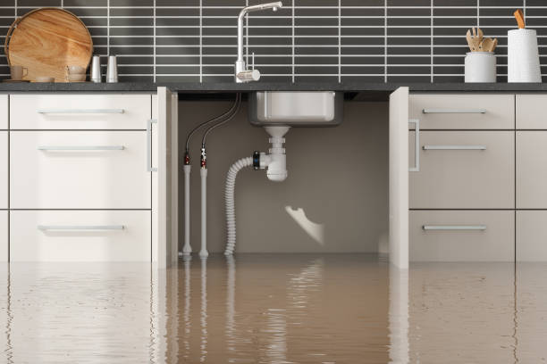 Best Professional water damage repair  in Malaga, NJ